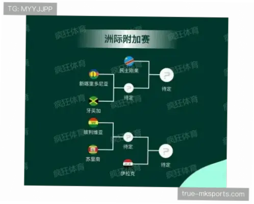 国际足联世界杯举办周期与参赛资格详解